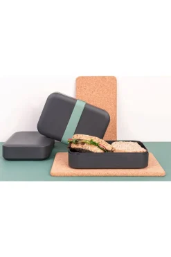 Amuse Lunchbox Lunchbox Recycled