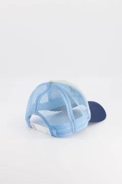 Chamaye Pet Cas-Trucker-High Five