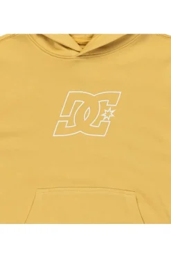 DC Shoes Trui Pallet Ph Boy