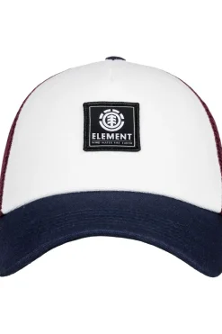 Element Pet Icon Mesh
