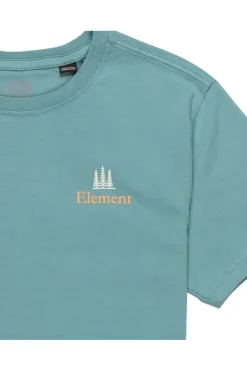 Element T-Shirt Sbxe Remember