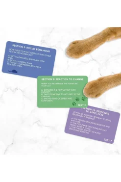 Gift Republic Speelgoed Cat Personality Test
