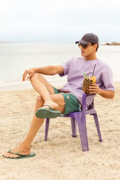 Havaianas Brasil Logo