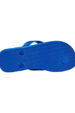 Havaianas Slippers Brasil Logo