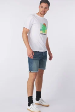Jack & Jones Short Irick Fox Cb 310