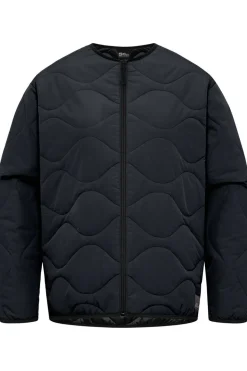 Jack Wolfskin Jas Wandersome Ins Jkt W