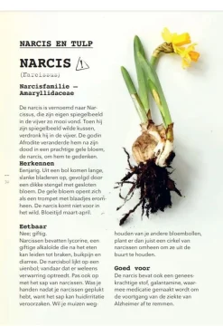Lannoo Boek Meer Wildplukken - Eetbare Geneeskrachtige Planten & Giftige Lookalikes