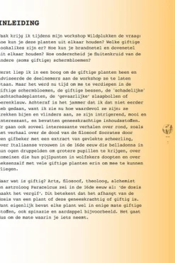 Lannoo Boek Meer Wildplukken - Eetbare Geneeskrachtige Planten & Giftige Lookalikes