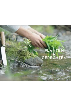 Lannoo Het wildplukboek