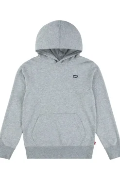 Levi's Kids Trui Lvb Mini Batwing