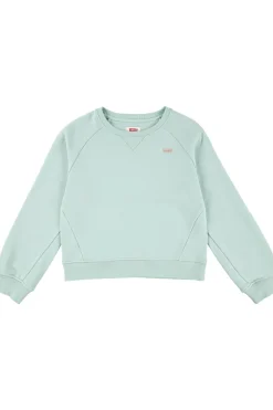 Levi's Kids Trui Lvg Levis Hd Silicone Batwing