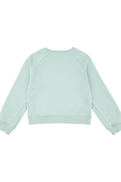 Levi's Kids Trui Lvg Levis Hd Silicone Batwing