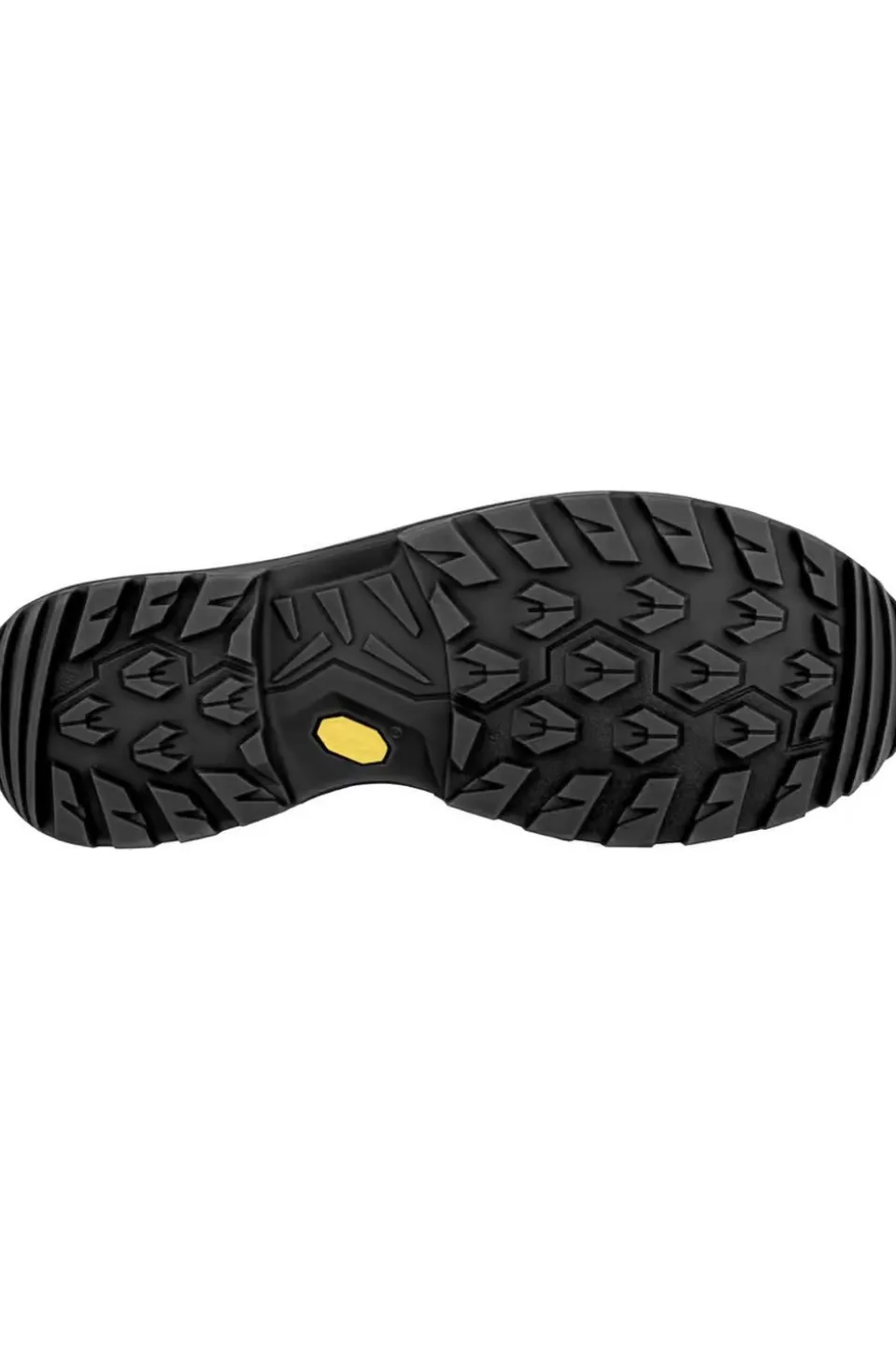 LOWA Wandelschoenen Renegade Evo Gore-tex