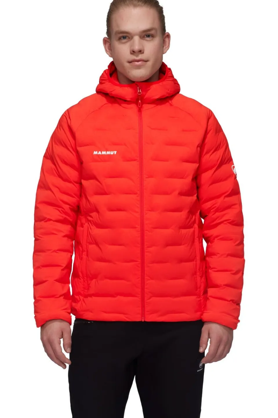 Mammut Jas Sender Ins Hooded