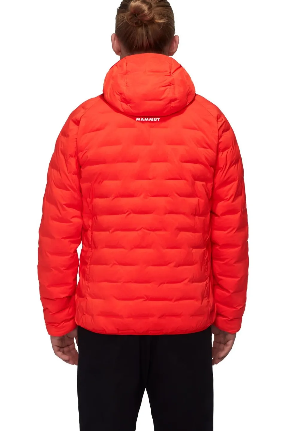 Mammut Jas Sender Ins Hooded