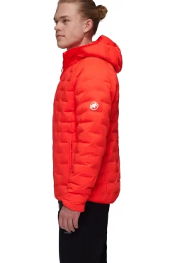 Mammut Jas Sender Ins Hooded