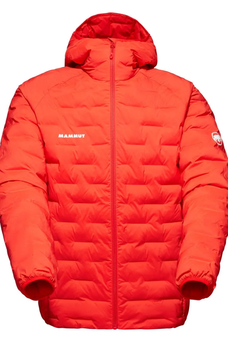 Mammut Jas Sender Ins Hooded