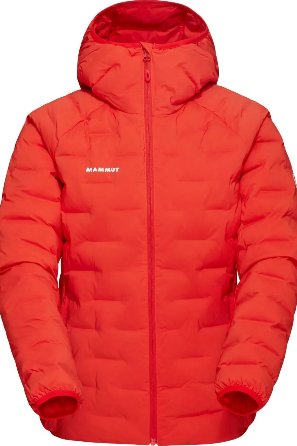 Mammut Jas Sender Ins Hooded