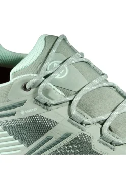 Mammut Wandelschoenen Ducan Ii Low Gtx Women
