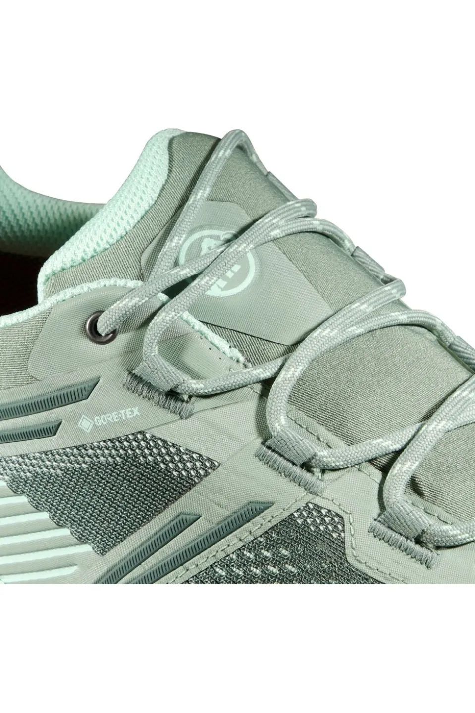 Mammut Wandelschoenen Ducan Ii Low Gtx Women
