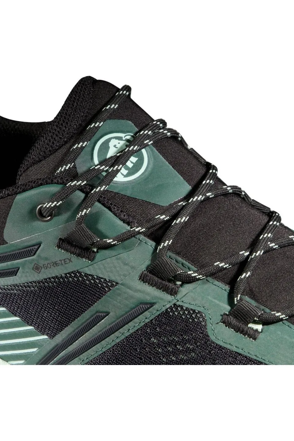 Mammut Wandelschoenen Ducan Ii Low Gtx Men