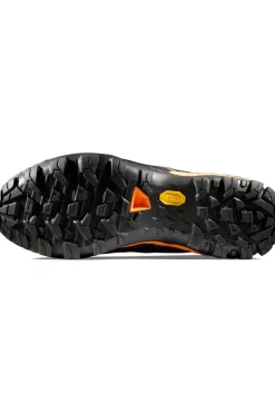 Mammut Wandelschoenen Ducan Ii Low Gtx Men