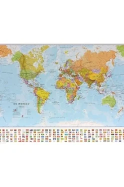 Maps International Wereld pol. plano gepl. mi