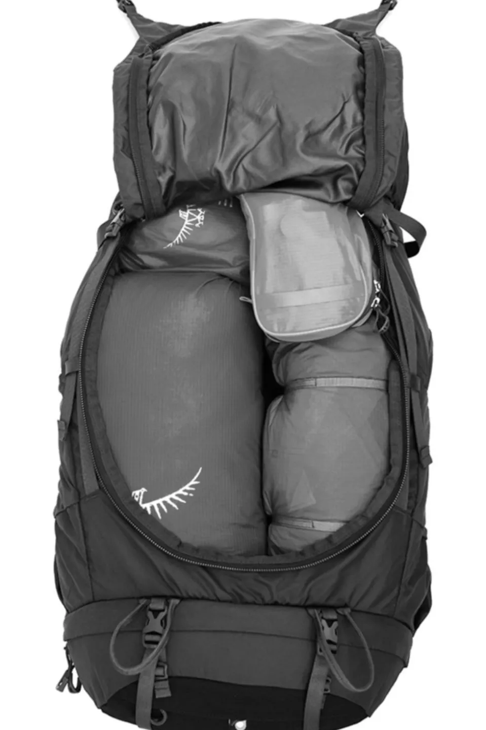 Osprey Verhuur - Dagrugzak Kestrel 58