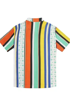Picture Organic Clothing Hemd Mareeba Shirt