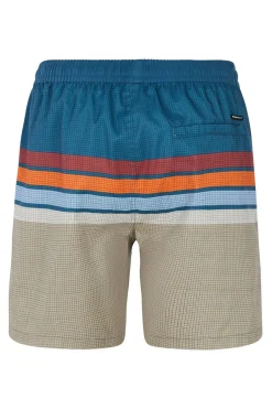 Protest Zwemshort Avik