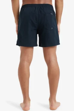 Quiksilver Zwemshort Everyday Beach Volley 15