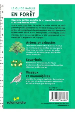 Salamandre Le guide nature en forêt