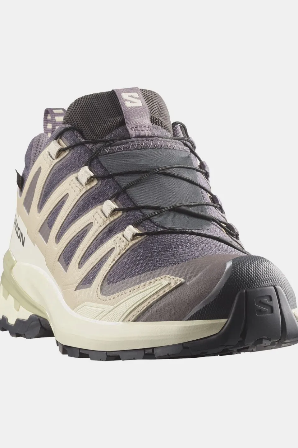 Salomon Trailschoenen Xa Pro 3D V9 Gore-Tex W