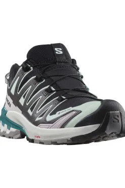 Salomon Trailschoenen Xa Pro 3D V9 Gore-Tex W