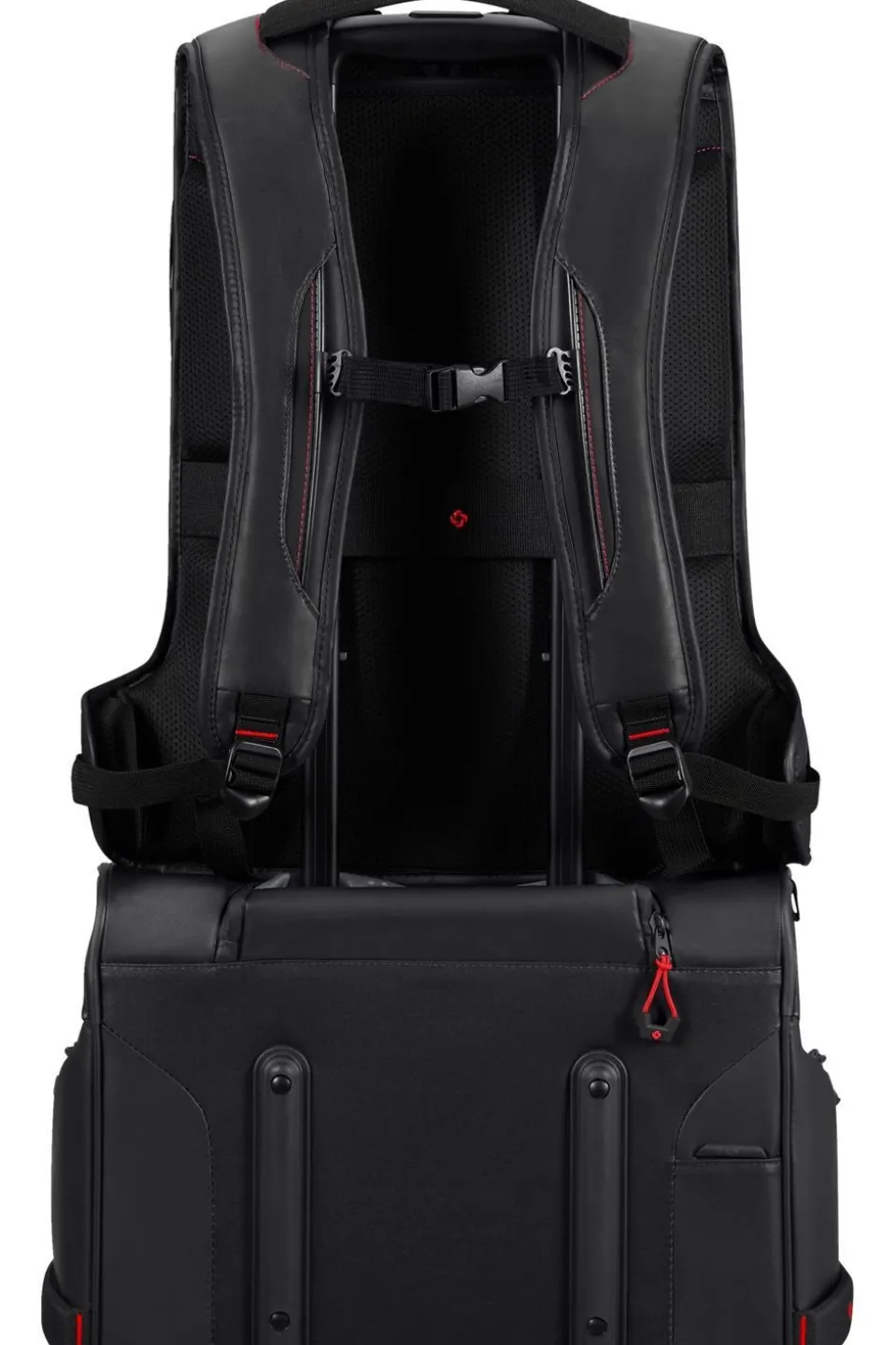 Samsonite Dagrugzak Ecodiver Laptop Backpack L 26 L