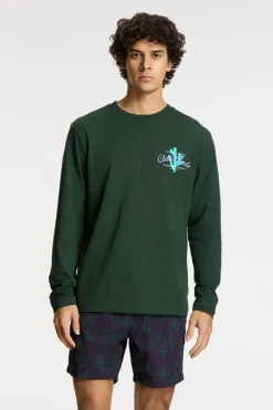 Shiwi Zwemshort Nick Quick Dry 6 Inch Birds