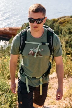 Smartwool T-Shirt Bear View Short Sleeve Graphic Tee