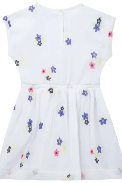 Someone Jurk Jardin-Sg-51-C