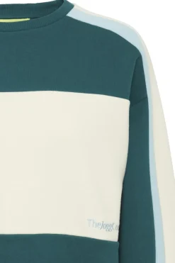 The Jogg Concept Trui Jcsage Block Sweat